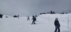 J_20250211_111642.jpg_compressed