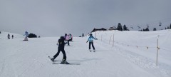 J_20250211_111644.jpg_compressed