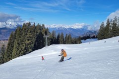 Alessia_20240213_104421_1.jpg_compressed