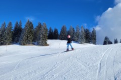 Alessia_20240213_104424.jpg_compressed