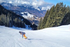 Alessia_20240213_104427.jpg_compressed