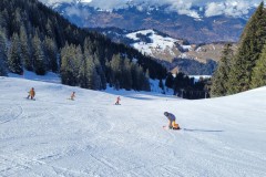 Alessia_20240213_104429_1.jpg_compressed