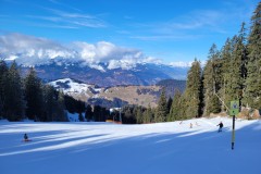 Alessia_20240213_104459.jpg_compressed