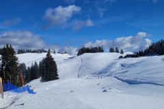 Alessia_20240213_120647.jpg_compressed