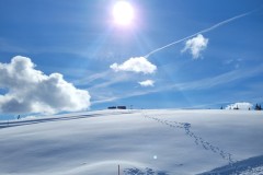 Alessia_20240213_120650.jpg_compressed