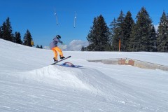 Alessia_20240213_121328.jpg_compressed