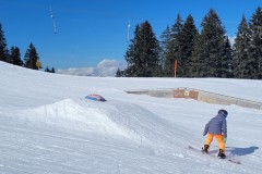 Alessia_20240213_121329.jpg_compressed