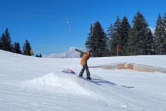 Alessia_20240213_121413.jpg_compressed