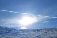 Alessia_20240213_153615.jpg_compressed