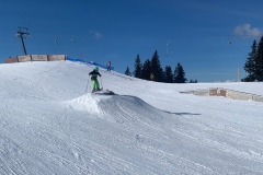 Aline_IMG_9285.jpeg_compressed