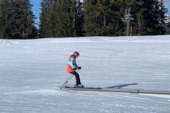 Aline_IMG_9333.jpeg_compressed