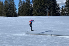 Aline_IMG_9337.jpeg_compressed