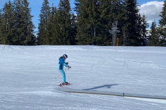 Aline_IMG_9341.jpeg_compressed