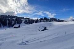 J_20240213_113035.jpg_compressed