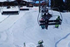 J_20240213_113050.jpg_compressed