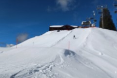 J_20240213_115019.jpg_compressed