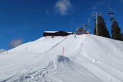 J_20240213_115033.jpg_compressed