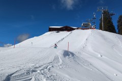 J_20240213_115038.jpg_compressed