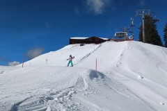 J_20240213_1150380.jpg_compressed