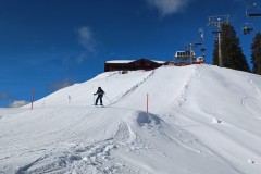 J_20240213_115117.jpg_compressed