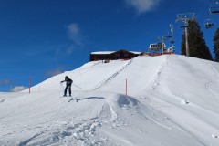 J_20240213_1151170.jpg_compressed