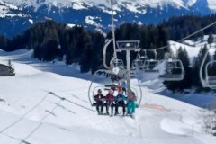 J_20240213_121355.jpg_compressed