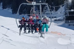 J_20240213_121415.jpg_compressed