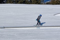 J_20240213_140118.jpg_compressed