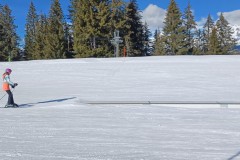 J_20240213_140141.jpg_compressed