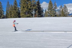 J_20240213_140142.jpg_compressed