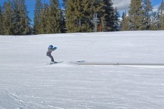 J_20240213_140401.jpg_compressed