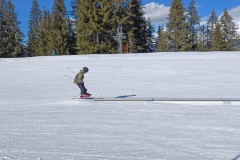 J_20240213_140413.jpg_compressed