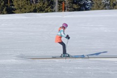 J_20240213_140434.jpg_compressed