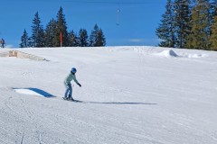 J_20240213_140655.jpg_compressed