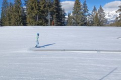 J_20240213_140659.jpg_compressed