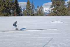 J_20240213_140725.jpg_compressed