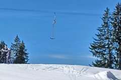 J_20240213_140930.jpg_compressed