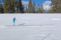 J_20240213_141017.jpg_compressed