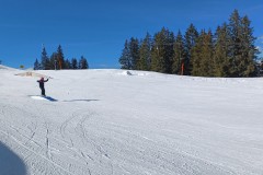 J_20240213_141024.jpg_compressed