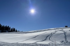 20230214_094725662_iOS