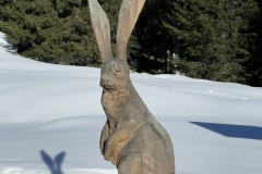 20230214_102911006_iOS