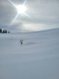 Alessia_20250213_104903.jpg_compressed
