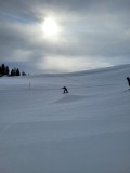 Alessia_20250213_105039.jpg_compressed