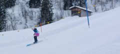 J_20250213_125930.jpg_compressed