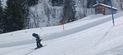 J_20250213_130313.jpg_compressed