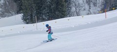 J_20250213_130359.jpg_compressed