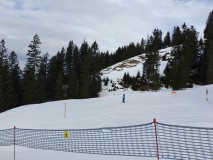 Jan_IMG20250213112316.jpg_compressed