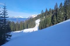 Alessia_20240215_105657.jpg_compressed