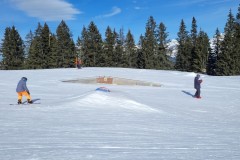 Alessia_20240215_111421.jpg_compressed