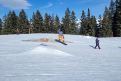 Alessia_20240215_111422.jpg_compressed